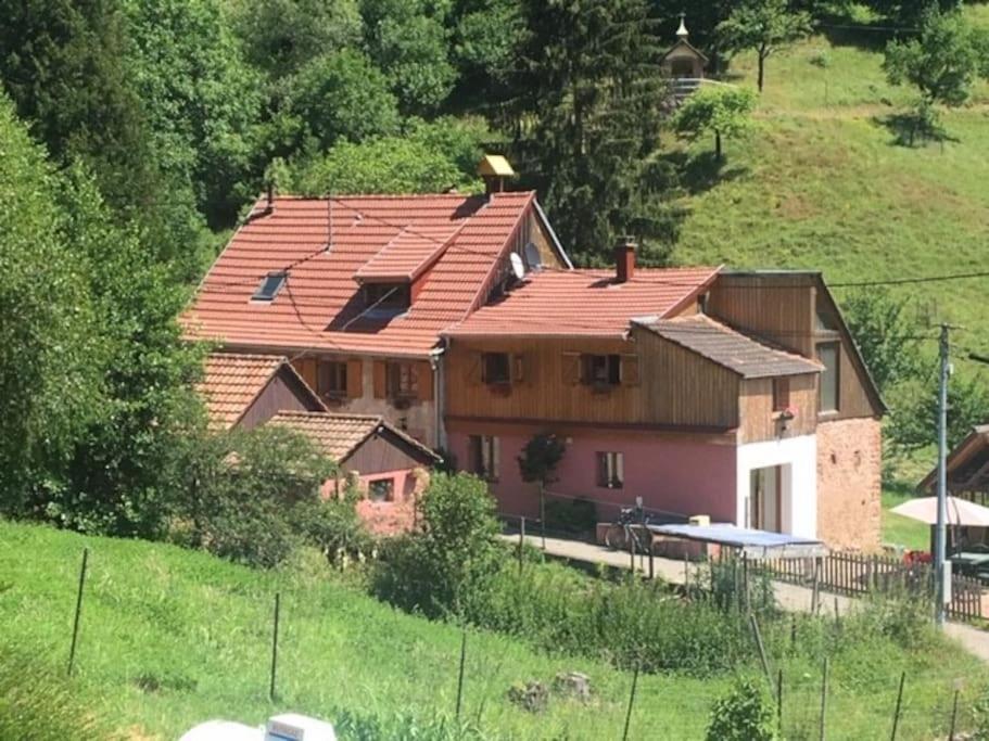 Gite De La Grande Verrerie 6 Personnes Ribeauville المظهر الخارجي الصورة