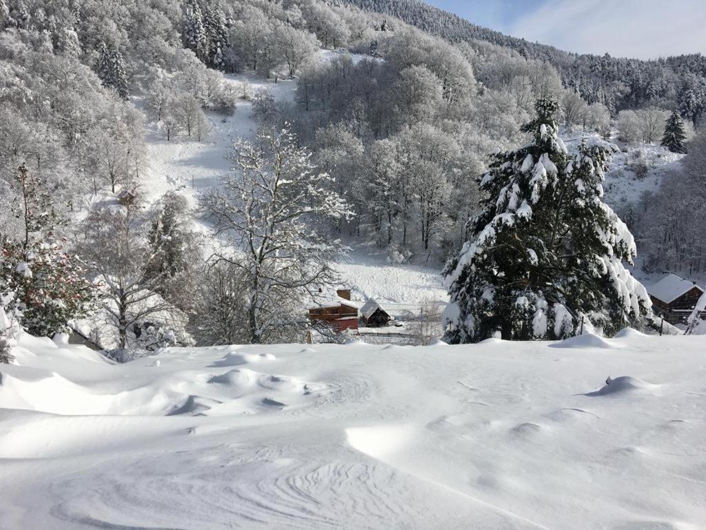 Gite De La Grande Verrerie 6 Personnes Ribeauville المظهر الخارجي الصورة
